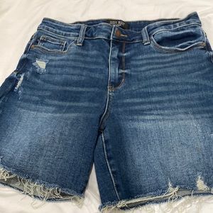 Judy Blue Shorts
